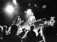 photo of Los Bohemos